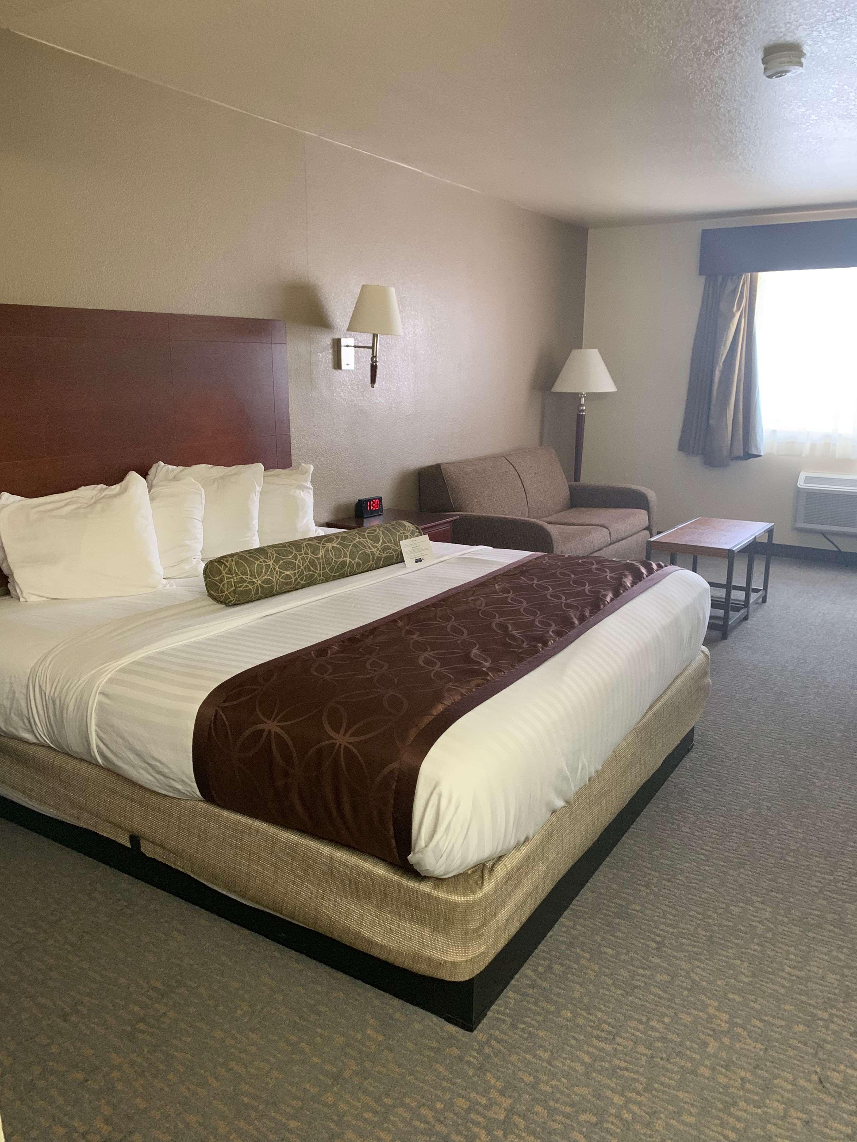 Western Desert Oasis Hotel 3*